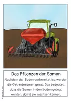 Vorschau - Poster - Differenziertes Tafelmaterial - Getreideanbau früher und heute - Seite 3