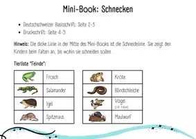 Vorschau - Mal- und Bastelvorlagen - Mini-Book: Sachwissen Schnecken (Kindergarten - 1. Klasse) - Seite 3
