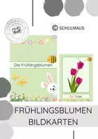 Vorschau - Bildkarten - Die Frühlingsblumen - Deckblatt