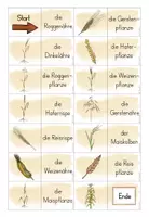 Vorschau - Spiele - 3./4.Klasse: Spiel Domino zum Thema Getreide - Seite 3