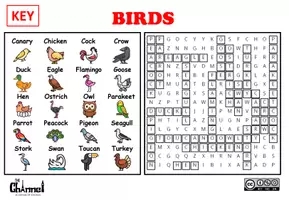 Aperçu - Feuilles d'exercices - BIRDS – Word Search Puzzle (20 Words) - Page 3