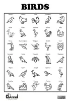 Aperçu - Affichage - BIRDS – Visual Dictionary (30 Words) - Page 1