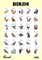 Aperçu - Affichage - BIRDS – Visual Dictionary (30 Words) - Page 2