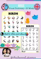 Aperçu - Affichage - BIRDS – Visual Dictionary (30 Words) - Page de couverture