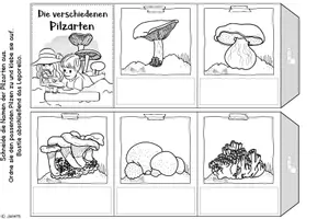 Vorschau - Arbeitsblätter - Arbeitsblätter: Rund um die Pilze (mit Leporello) - Seite 3