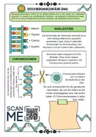 Vorschau - Arbeitsblätter - Genetik DNA - Aufbau - Funktion und Speicherung von genetischen Informationen mit Lösung (Klasse 9 10 11) - Seite 1