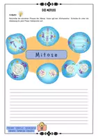Vorschau - Arbeitsblätter - Genetik - Chromosomen und Zellteilung - Meiose und Mitose mit Lösung (Klasse 9 10 11) - Deckblatt