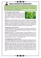 Vorschau - Arbeitsblätter - Genetik - Mendel - Mendel'sche Regeln und Anwendung mit Lösung (Klasse 9 10 11) - Deckblatt