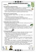 Vorschau - Arbeitsblätter - Genetik - Mendel - Mendel'sche Regeln und Anwendung mit Lösung (Klasse 9 10 11) - Seite 2
