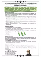 Vorschau - Arbeitsblätter - Genetik - Mendel - Mendel'sche Regeln und Anwendung mit Lösung (Klasse 9 10 11) - Seite 3