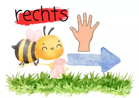 Vorschau - Bildkarten - Biene Rechts+ links - Deckblatt