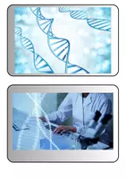 Vorschau - Poster - Genetik - Vererbung - DNA - Tafelkarten - Deckblatt