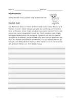 Vorschau - Arbeitsblätter - Abschreibtexte Freiarbeit/Lernzeit - Seite 3