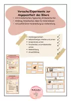 Vorschau - Arbeitsblätter - Versuche/Experimente Angepasstheit des Bibers - Deckblatt