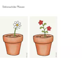 Vorschau - Stationenlernen - Stationsschilder - Differenzierung - Stationskarten (10 x 15 cm) - Seite 3
