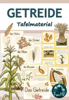 Vorschau - Poster - 3./4.Klasse: Tafelmaterial zum Thema Getreide - Deckblatt