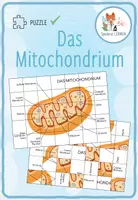 Vorschau - Arbeitsblätter - Das Mitochondrium - Puzzle - Deckblatt