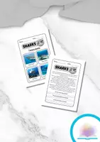 Vista previa - Tarjetas / Manipulativos - Lectura y comprensión en inglés - Reading Comprehension - Portada