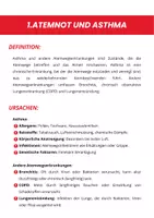 Vorschau - Unterrichtsreihen - Erste Hilfe Ratgeber: Atemwegsprobleme - Seite 3