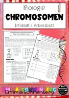 Vorschau - Arbeitsblätter - Chromosomen - Infoblatt, Arbeitsblatt - Deckblatt