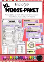 Vorschau - Arbeitsblätter - Meiose - Arbeitsblatt (3-fach differenziert), PPT, Flashcards, Tafelmaterial - Deckblatt