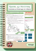Vorschau - Arbeitsblätter - Rindermagen - Wiederkäuer - Deckblatt
