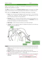 Vorschau - Arbeitsblätter - Rindermagen - Wiederkäuer - Seite 1