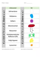 Vorschau - Arbeitsblätter - Aufbau einer tierischen Zelle - Seite 2