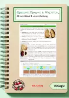 Vorschau - Arbeitsblätter - Vom Samen zur Pflanze - Deckblatt