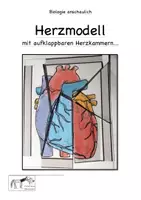 Vorschau - Arbeitsblätter - Biologie Modelle und Spiele Sammlung - Seite 1