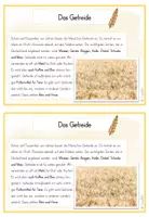 Vorschau - Text - 3./4.Klasse: Wissenskartei mit Infokarten zum Thema Getreide - Seite 2