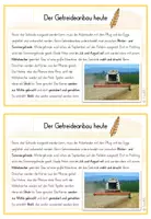 Vorschau - Text - 3./4.Klasse: Wissenskartei mit Infokarten zum Thema Getreide - Seite 3