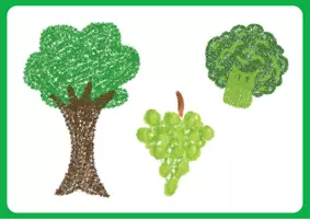 Vista previa - Unidades / Secuencias / Situaciones de Aprendizaje - COLOURS FOR KIDS - página 2