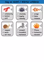 Vorschau - Arbeitsblätter - Sag es nicht Tiere im Wasser - DaZ/DaF, Deutsch (Spiel) - Seite 3