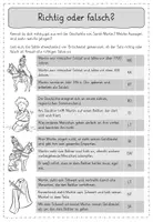 Vorschau - Arbeitsblätter - Leseübungen zum sinnentnehmenden Lesen: Sankt Martin (Klasse 3/4) - Seite 1
