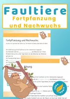 Vorschau - Arbeitsblätter - Faultiere im Sachunterricht Fortpflanzung und Nachwuchs - Deckblatt