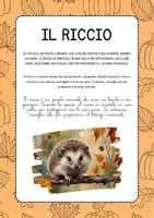 anteprima - Testo - Prime frasi da leggere sull'autunno - - Pagina 1