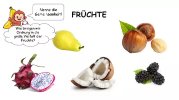 Vorschau - Stundenentwürfe - Früchte - Unterrichtsmaterial mit Arbeitsblättern - Seite 2