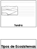 Vista previa - Hojas de trabajo - Tipos de ecosistemas - Cuaderno interactivo - página 1