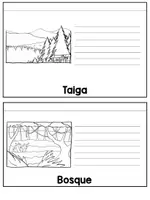 Vista previa - Hojas de trabajo - Tipos de ecosistemas - Cuaderno interactivo - página 3