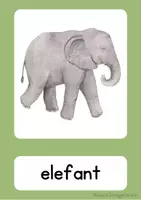 Vorschau - Bildkarten - Flashcards - Zoo animals - Seite 3