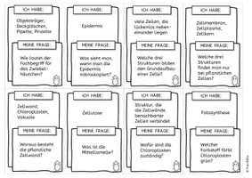 Vorschau - Spiele - Kettenquiz Mikroskop Zellen Zellorganellen - Ich habe, Wer hat? - Seite 3
