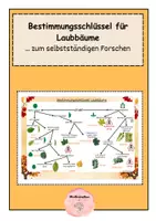 Vorschau - Poster - Bestimmungsschlüssel Laubbäume - Deckblatt
