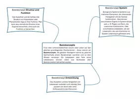 Vorschau - Arbeitsblätter - Basiskonzepte Biologie Sek 1 Klassenzuordnungsspiel - Seite 2