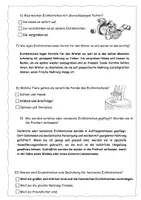 Vorschau - Arbeitsblätter - Eichhörnchen: Quiz zu Annas Reportage (mit Lösung) - Seite 3
