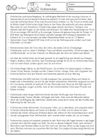 Vorschau - Unterrichtsreihen - Erster Sachtext lesen und verstehen das Eichhörnchen, Klasse 2, 3 Lesetext - Seite 1