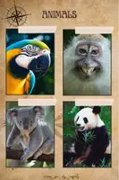 anteprima - Clipart / Immagini originali - Corda della bellezza: immagini di animali - Pagina 2