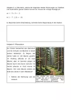 Vorschau - Arbeitsblätter - Negative Ganze Zahlen addieren und subtrahieren - Arbeitsblätter mit Aufgaben - Seite 2