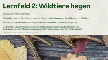 Vorschau - Präsentationen/Tafelbilder - Jagdzeiten und Ausrüstung Präsentation - Seite 3