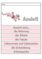 Vorschau - Arbeitsblätter - Axolotl Flipbook, Steckbrief und mehr - Seite 1